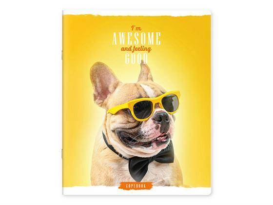 Caiet 96 foi, linie, lac, 96175