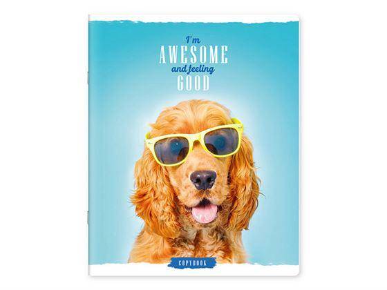 Caiet 96 foi, linie, lac, 96175