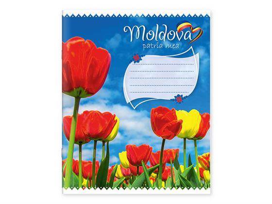 Caiet 48 foi, patratele, 485018