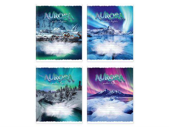 Тетрадь 48 листов, линия, 481017