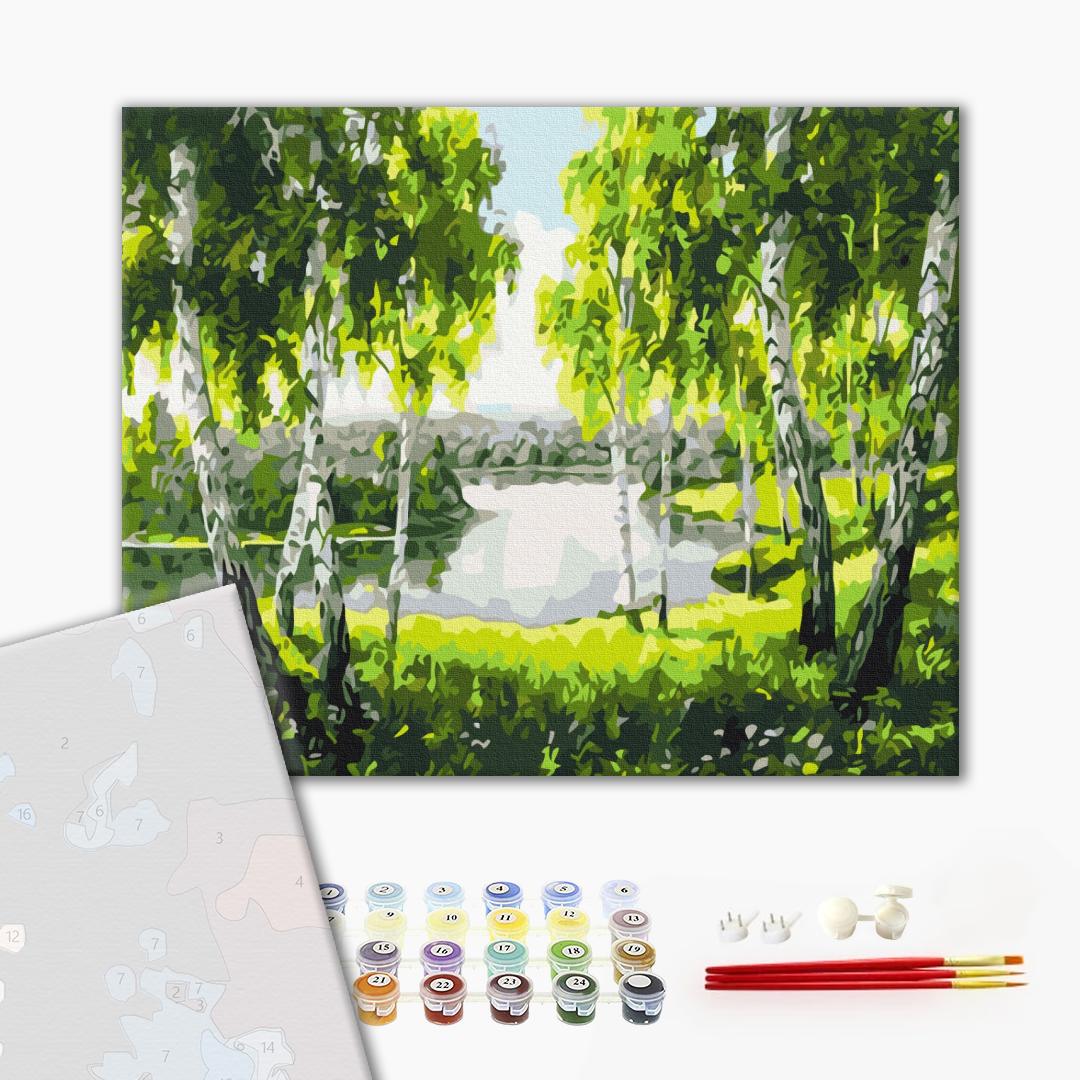Картина по номерам 40x50см Brushme BS52205 Берёзы с детства в коробке