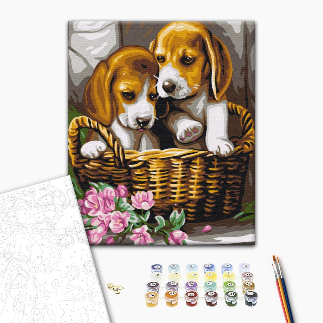 Картина по номерам 40x50см Brushme BS29695 Пара в корзине в коробке