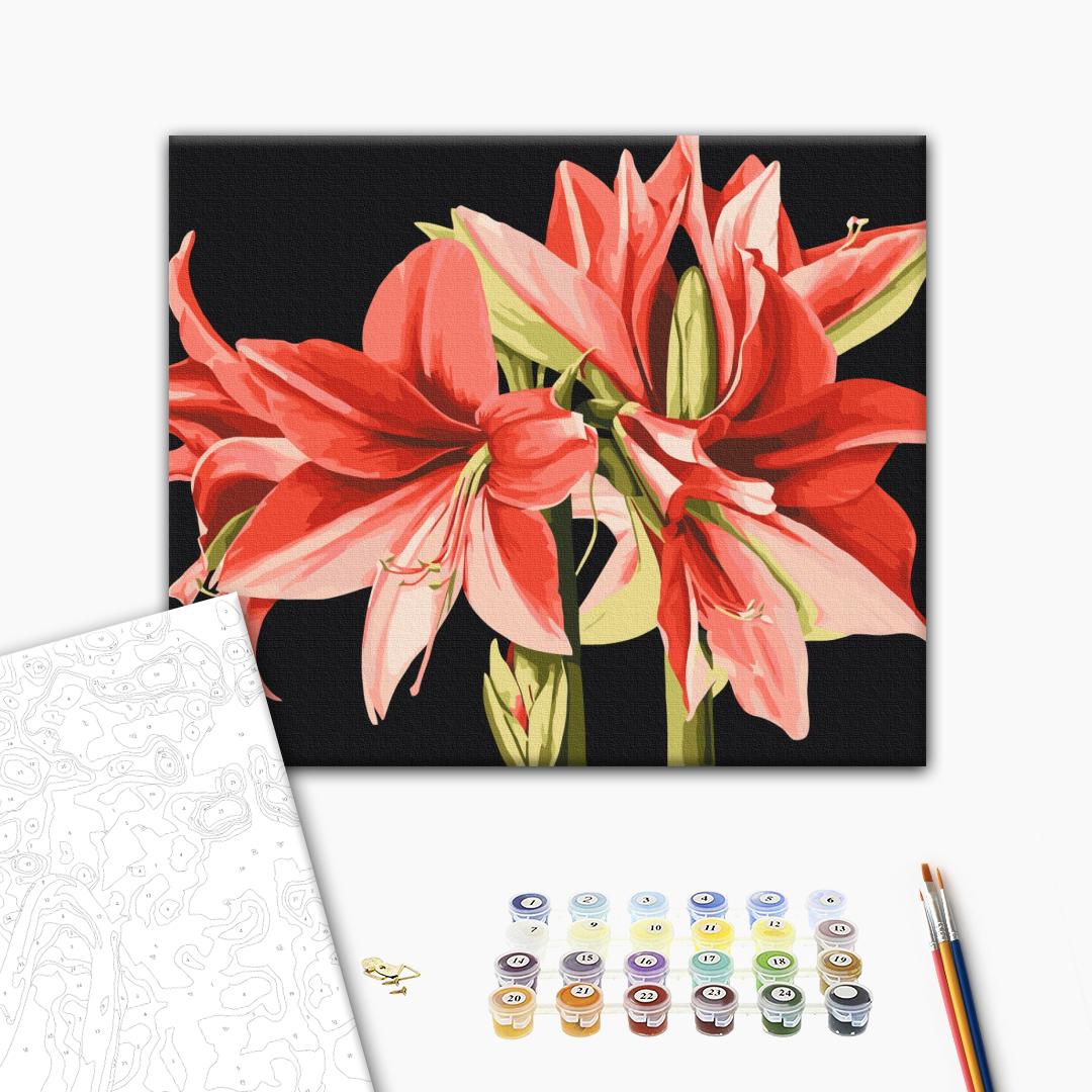 Картина по номерам 40x50см Brushme BS53725 Амариллис в коробке