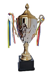 Cupa sport 40cm HH01288