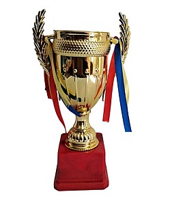 Cupa 21cm 02335 HH