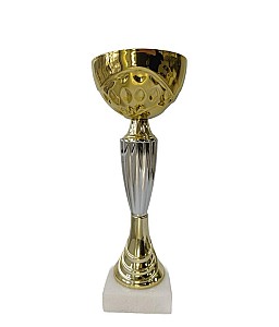 Cupa 20,5cm BC20 HH03678