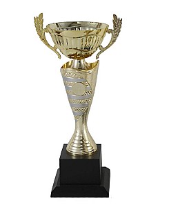 Cupa 31,5cm BC252 HH03705