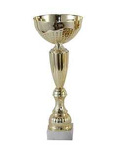 Cupa 31,5cm BC311 HH03708