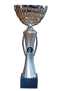 Cupa 31cm BC33 HH03685