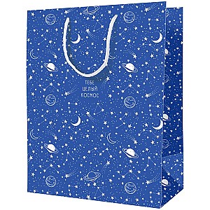 Punga pentru cadou 33x42x12cm, 39864-Cxl