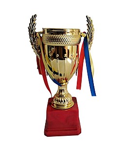 Кубок 19см 02336 HH
