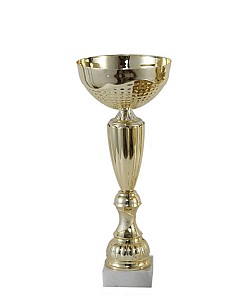 Cupa 25,5cm BC311 HH03707