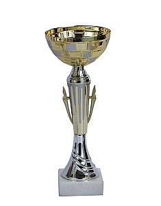 Cupa 20,5cm BC22 HH03857