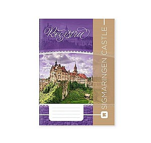 Тетради А4 96 листов, клетка, цветная обложка