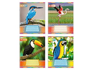 Тетрадь 12 листов, линия, 12135