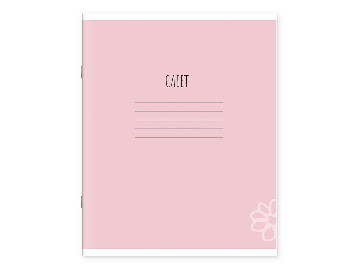 Caiet 24 foi, linie, 241049