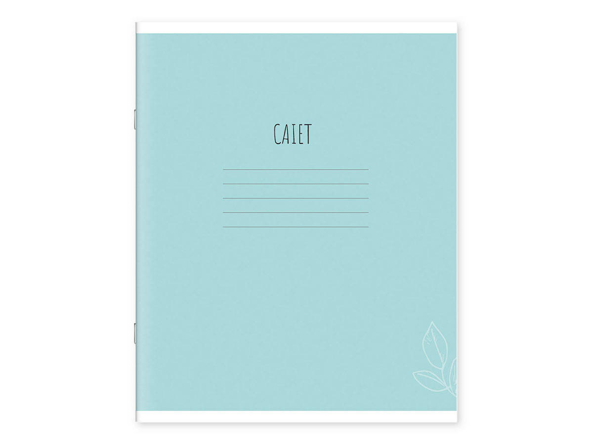 Caiet 24 foi, linie, 241049