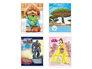 Caiet 24 foi, Euro linie oblica deasa, 1157