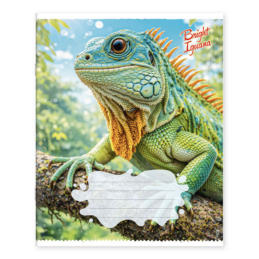 Caiet  36 foi linie 361098