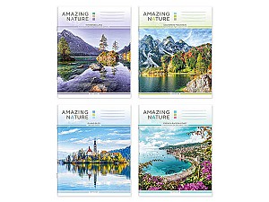 Caiet 36 foi, linie, 36195