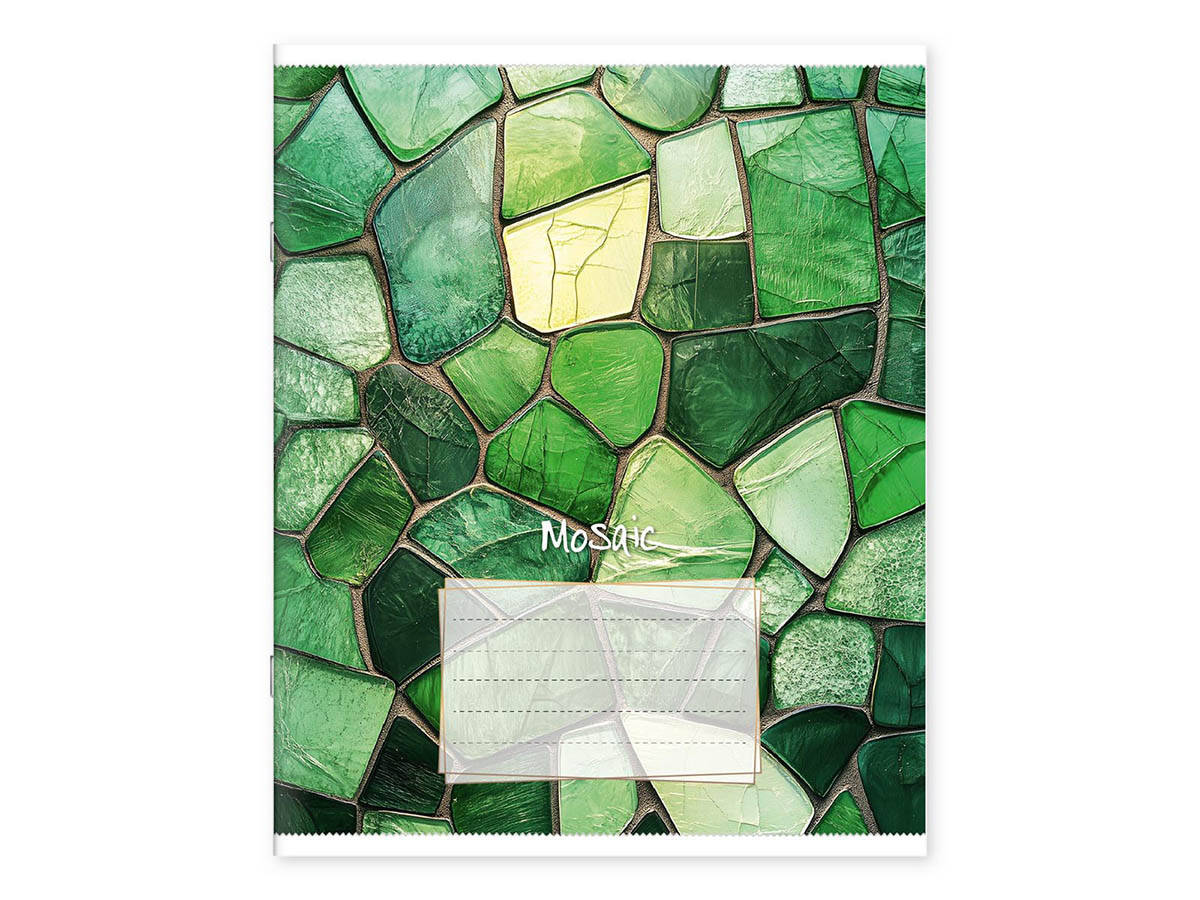 Caiet 48 foi, patratele, 485059