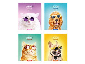 Caiet 48 foi, linie, lac, 48175