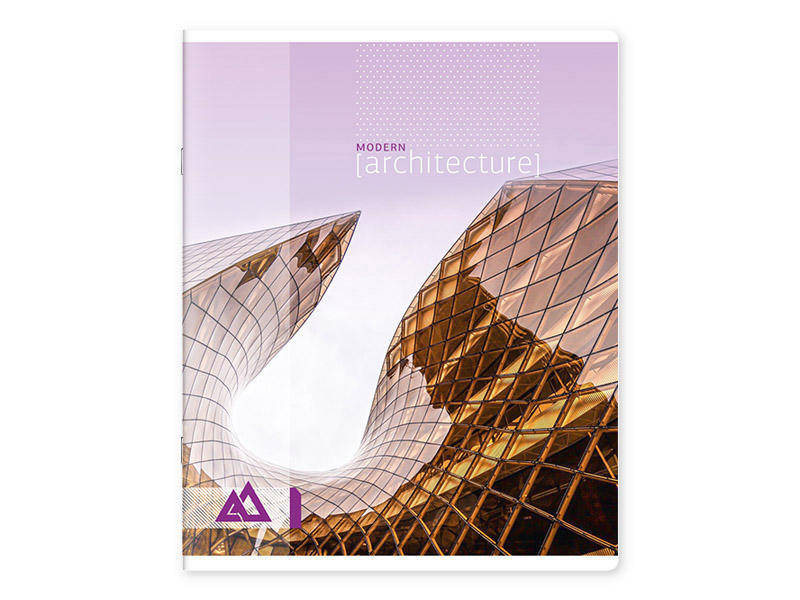 Тетрадь 48 листов, линия, лак, 48186