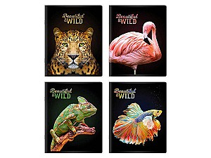 Caiet 96 foi, linie, lac selectiv, 96187