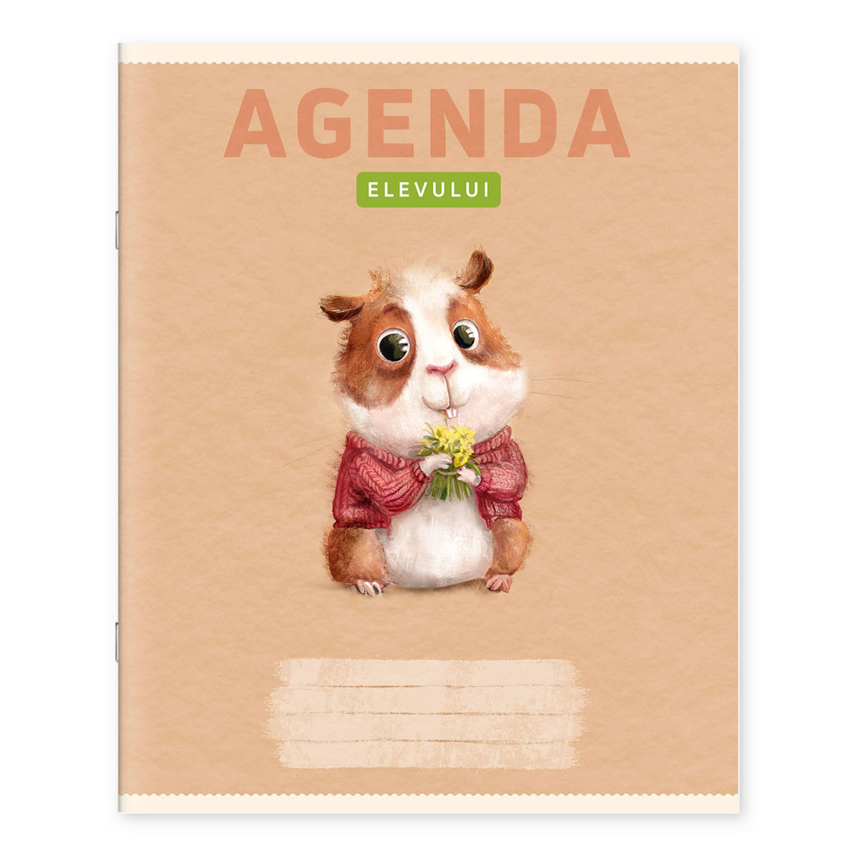 Agenda elevului 003AG