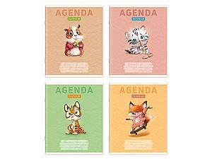 Agenda scolara 003AG