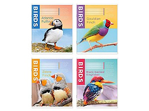 Caiet 24 foi, patratele, 245003