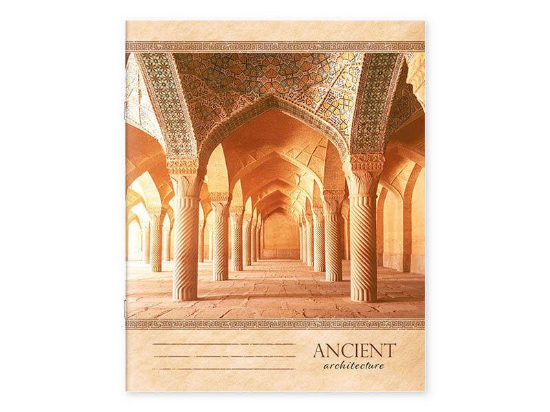 Caiet 96 foi, linie, 961007