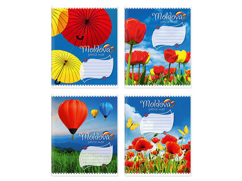 Тетрадь 24 листов, линия, 241018