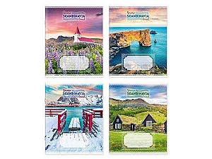 Caiet 48 foi, patratele, 485016