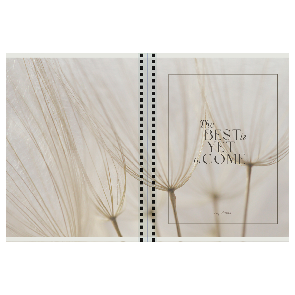 Caiet  80 foi patratele  53168 pe spirala, laminare mat, 70gr