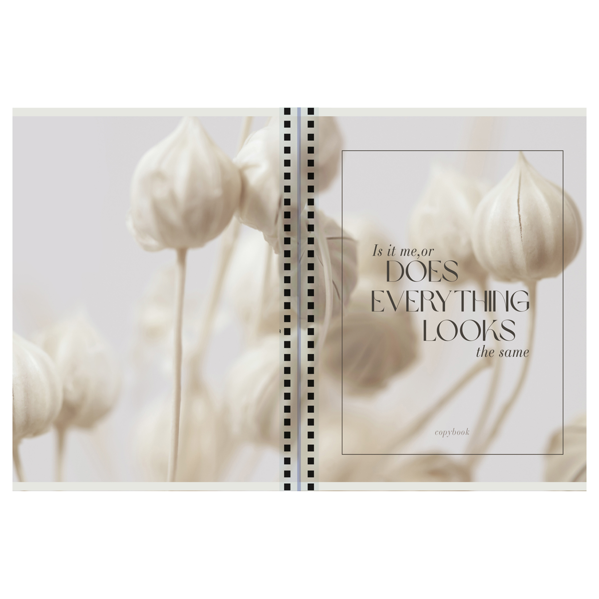 Caiet  80 foi patratele  53168 pe spirala, laminare mat, 70gr