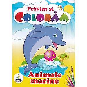 Set carti de colorat Privim si Coloram 27 bucati, asortate