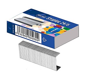 Capse Nr. 24/6 Centrum 80069, 1000 bucati