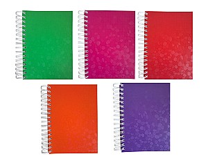 Blocnotes 100 foi A5 ST02623 pe spirala