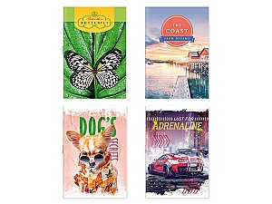 Blocnotes 48 foi A6, 004