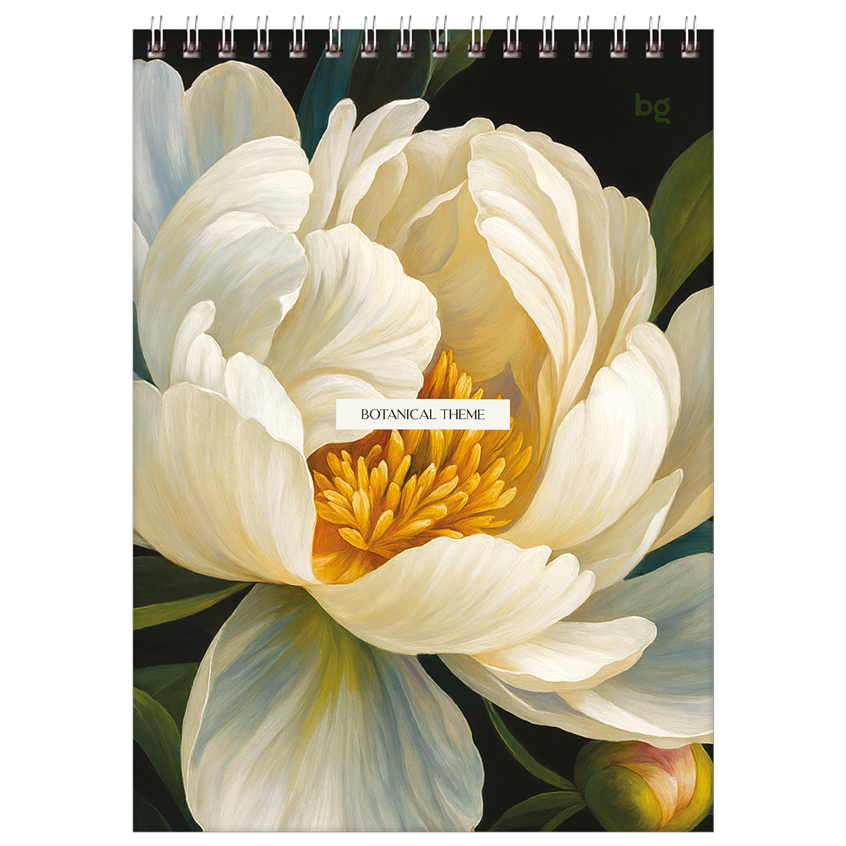Carnet  A5  60 foi cu spirala 06542