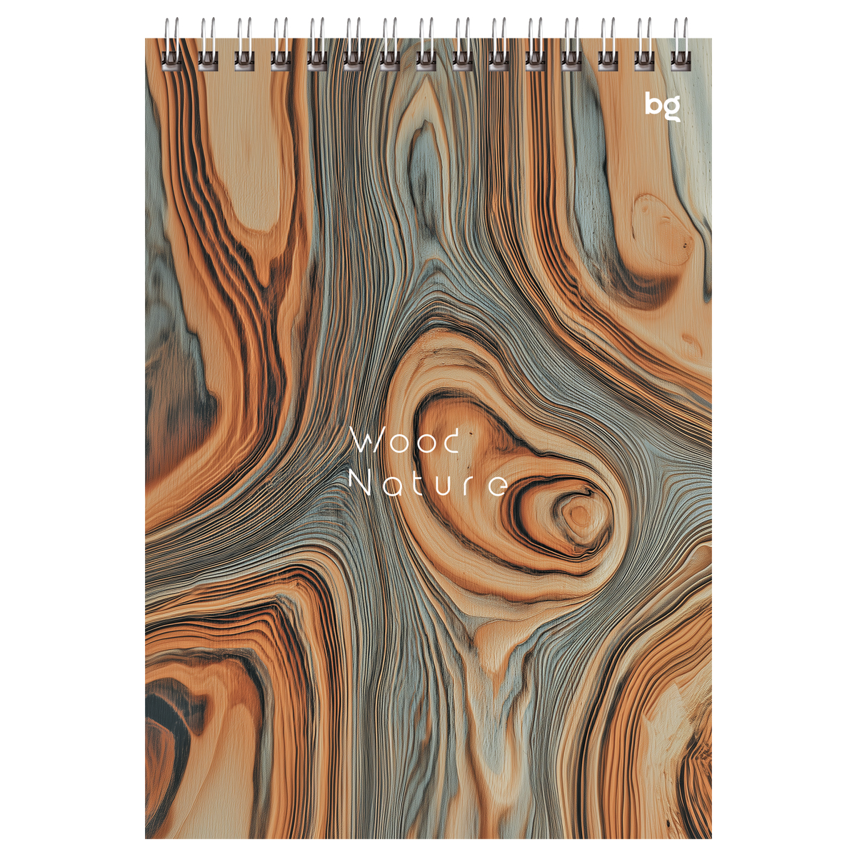 Carnet  A5  80 foi cu spirala 06547
