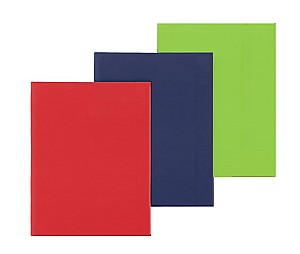 Agenda nedatata YL-296 A5 asortat