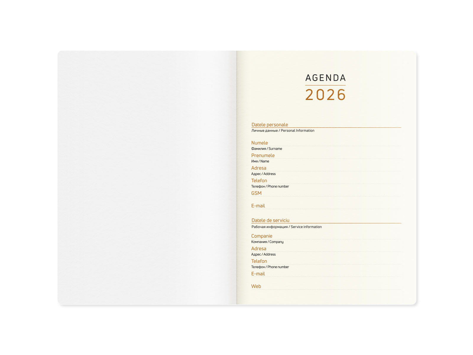 Ежедневник 2026г., ST04990, А5, серый