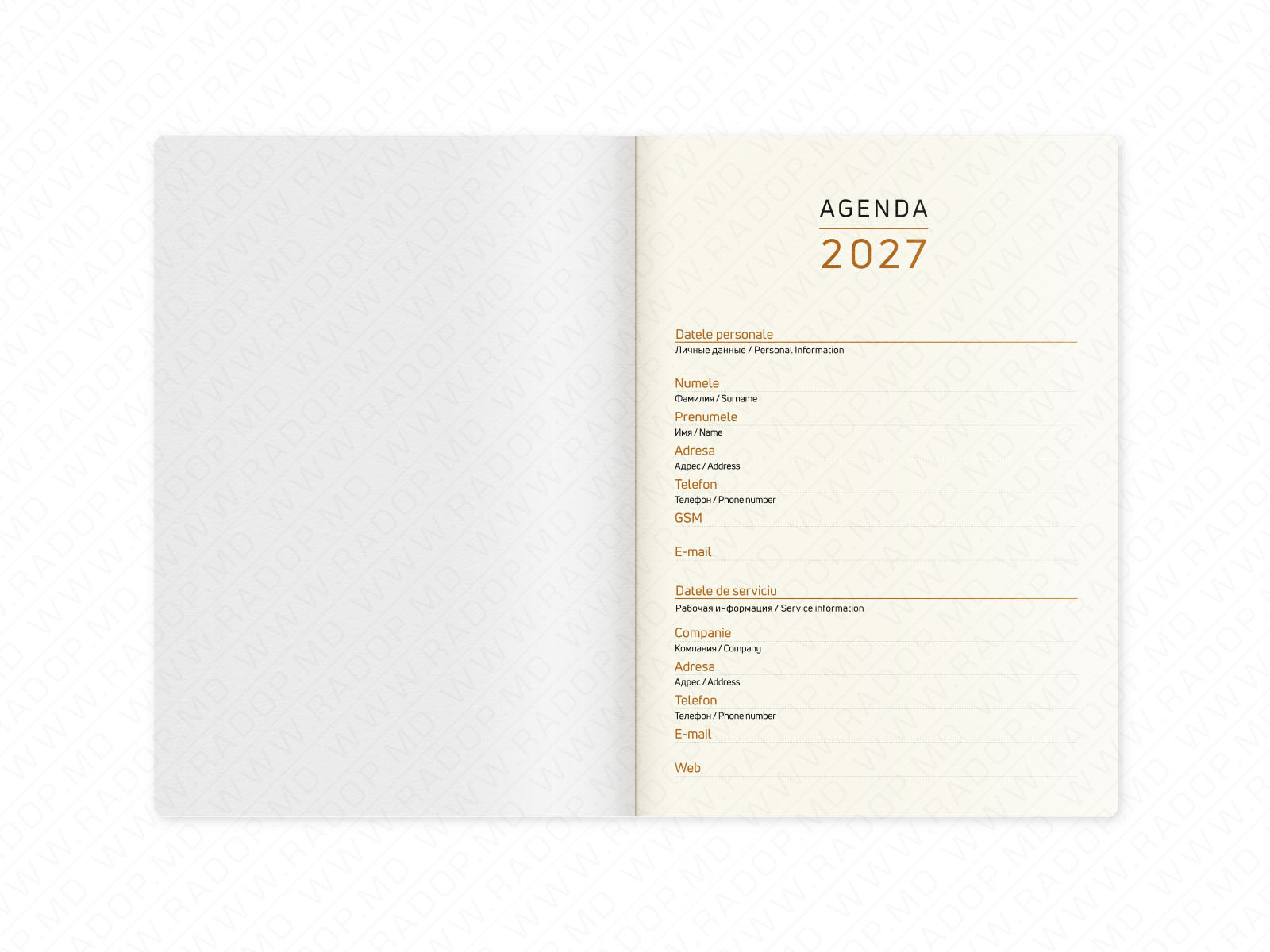 Agenda datata A5 2027 gri ST05236