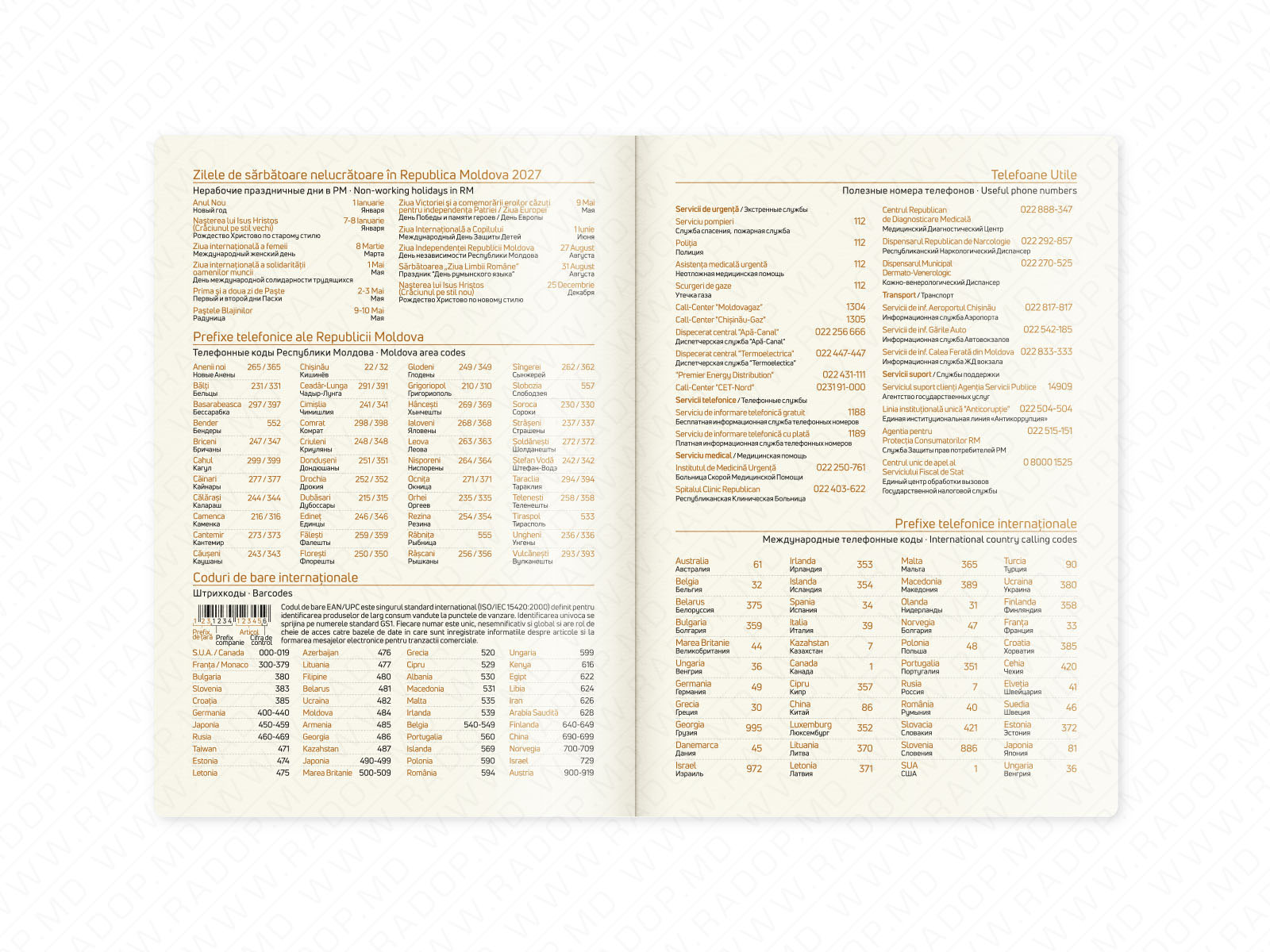 Agenda datata A5 2027 gri ST05236