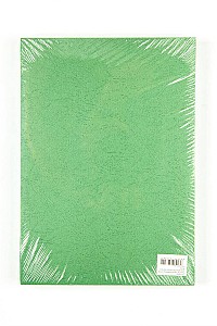 Carton eurocopertare A4, verde 100 foi