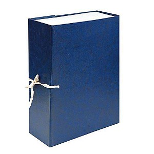 Mapa cartonata pentru arhiva A4 cu legaturi