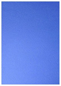 Carton eurocopertare A3 albastru 100 foi ST01222