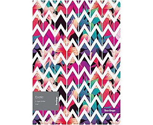 Папка-уголок Berlingo LFpA4091 Exotic A4, 200 мкм, с рисунком